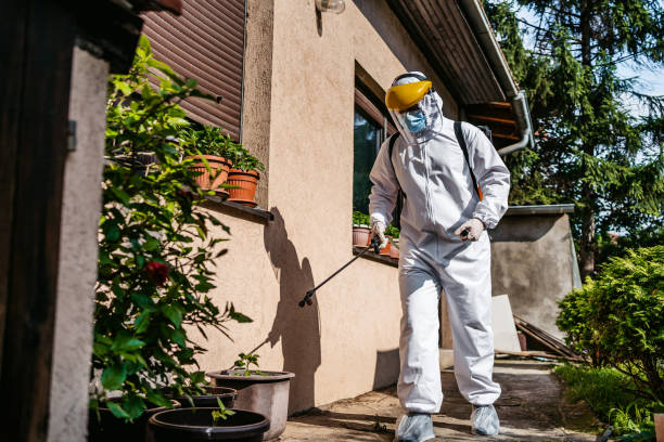 Best Mosquito Control Services  in Hobbs, NM
