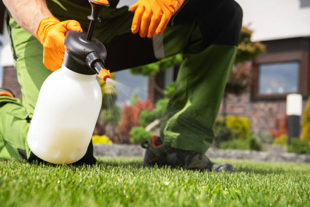 Wildlife Control Services in Hobbs, NM