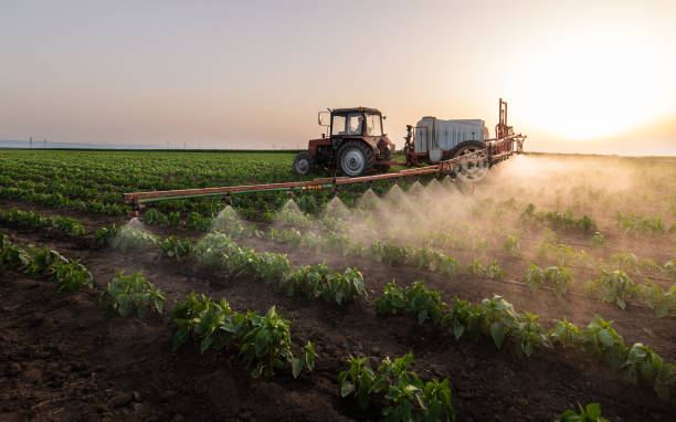 Best Wildlife Control Services  in Hobbs, NM