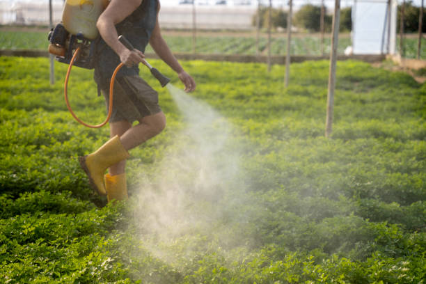 Best Pest Control for Businesses  in Hobbs, NM