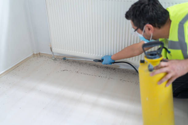 Best Residential Pest Control  in Hobbs, NM